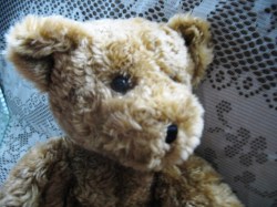 CINNAMON BEAR_02